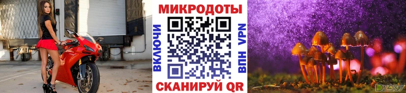 Псилоцибиновые грибы прущие грибы  Купить  Дальнереченск 